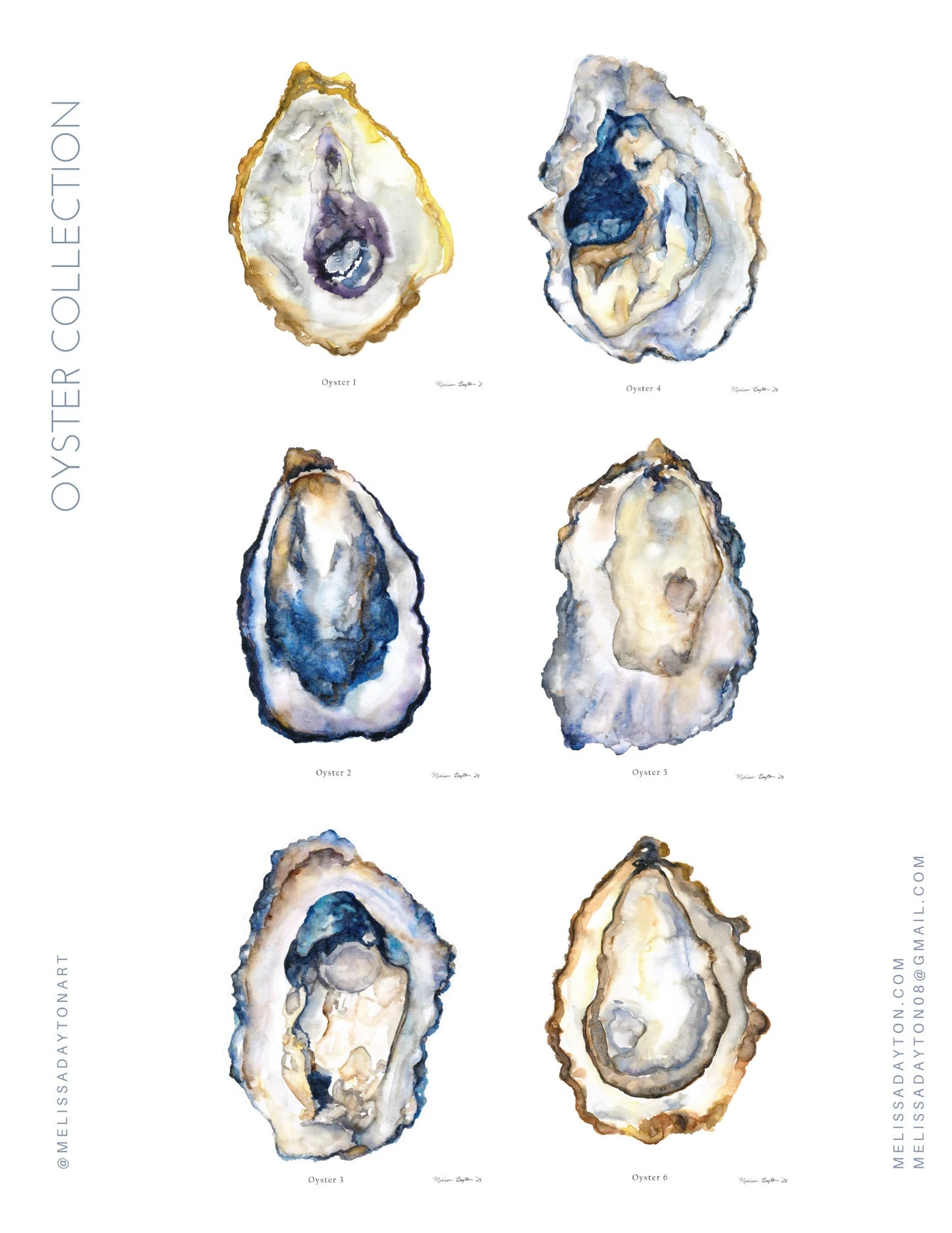 The Oyster Series — Set of 6 Coastal Watercolor Prints | Melissa Dayton| Unframed