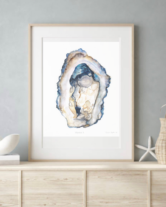 Oyster 3 Shell Art Print – Blue & Lace Coastal Design (Unframed)