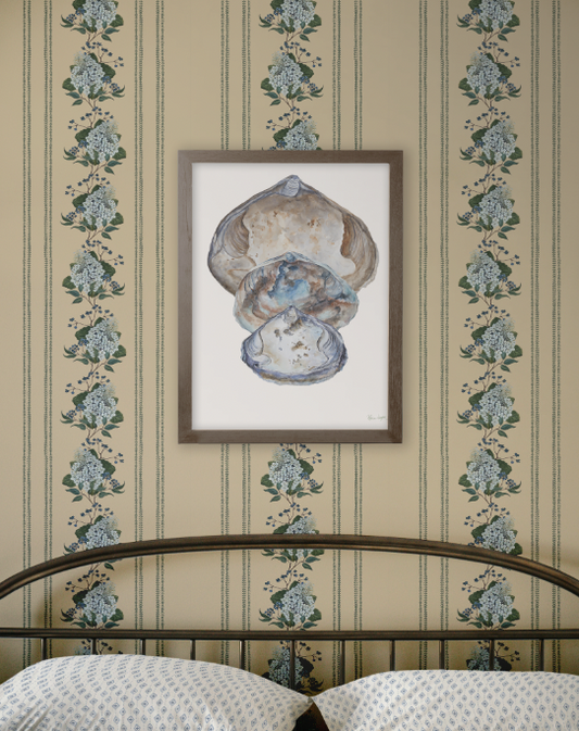 Framed artwork of a shell on a wall with floral border