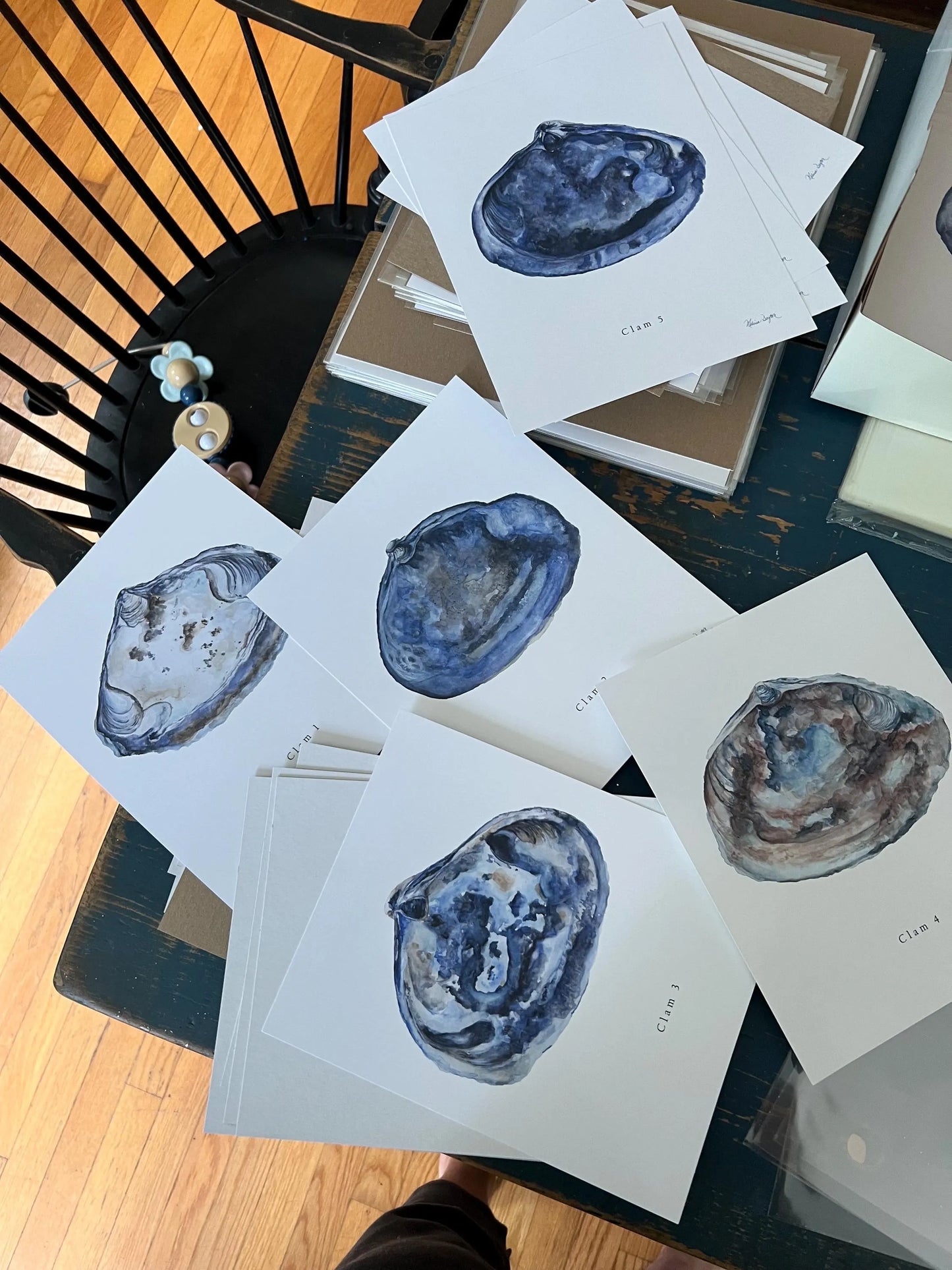 The Clam Series — Complete Set of 6 Coastal Watercolor Prints | Gallery Wall |Melissa Dayton |unframed