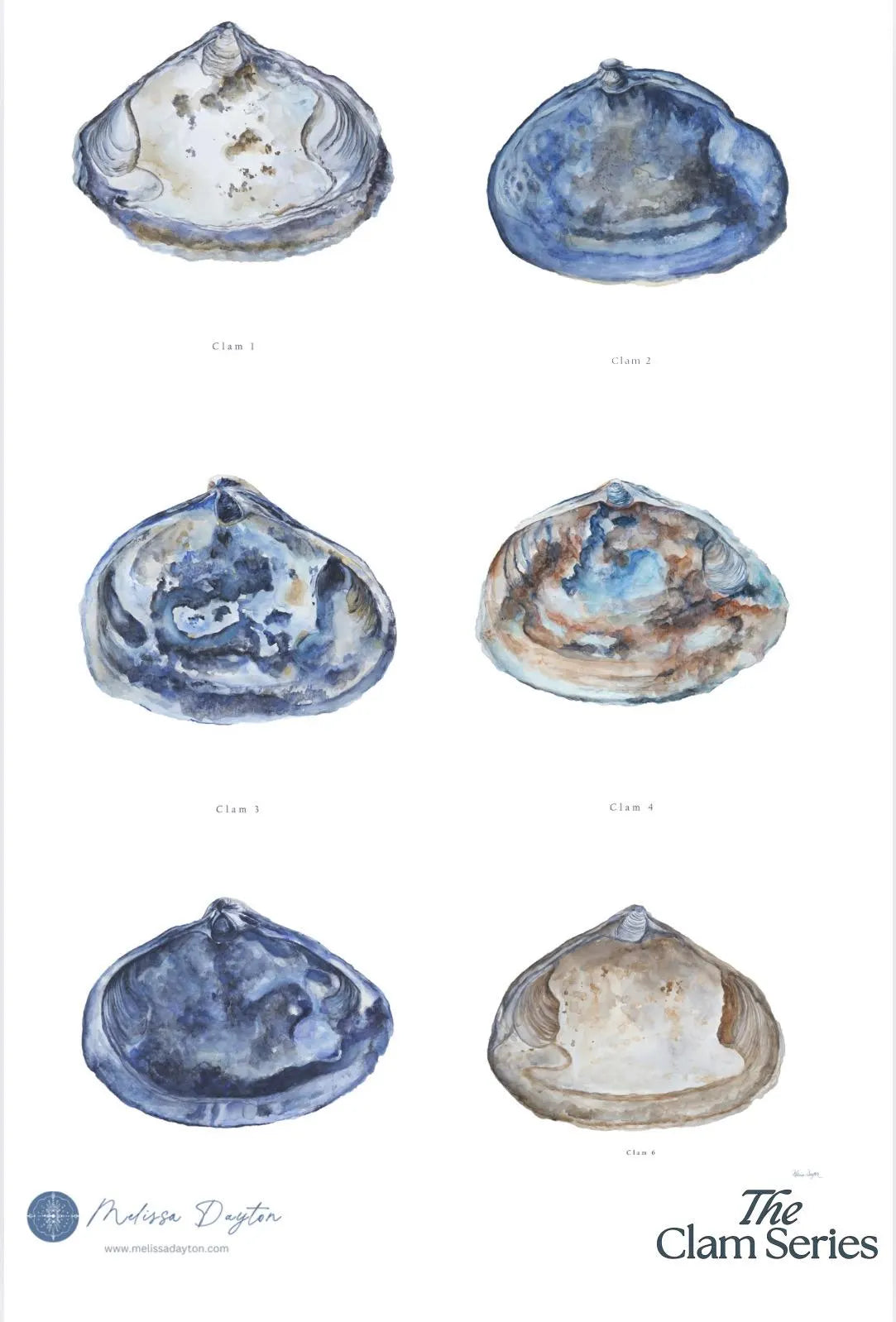 The Clam Series — Complete Set of 6 Coastal Watercolor Prints | Gallery Wall |Melissa Dayton |unframed