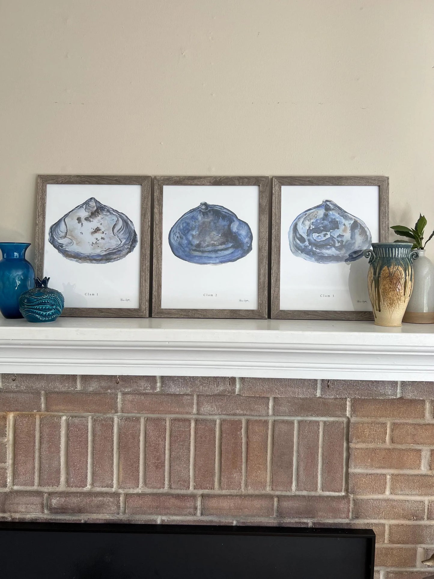 The Clam Series — Complete Set of 6 Coastal Watercolor Prints | Gallery Wall |Melissa Dayton |unframed