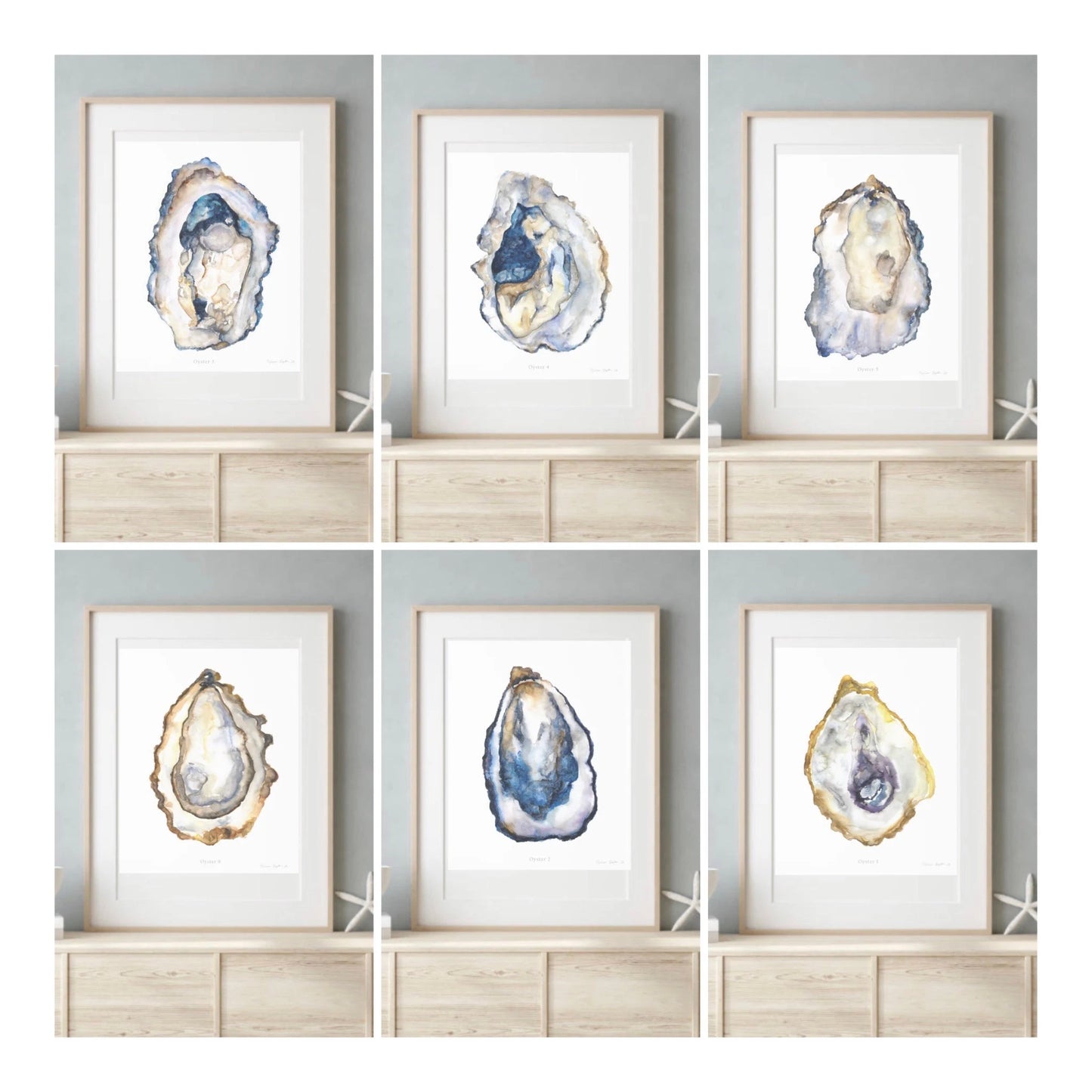 The Oyster Series — Set of 6 Coastal Watercolor Prints | Melissa Dayton| Unframed