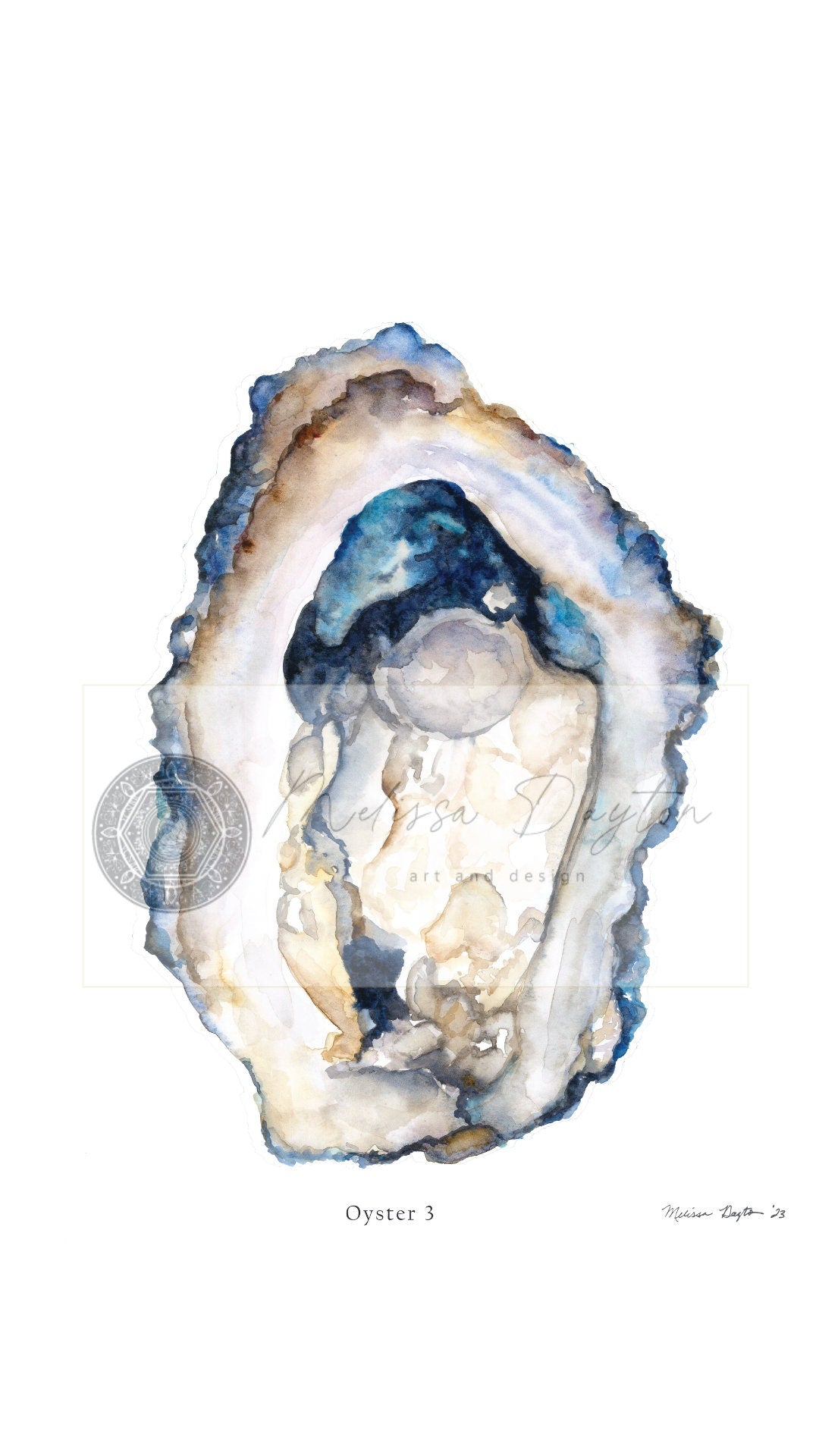 Oyster 3 Shell Art Print – Blue & Lace Coastal Design (Unframed)