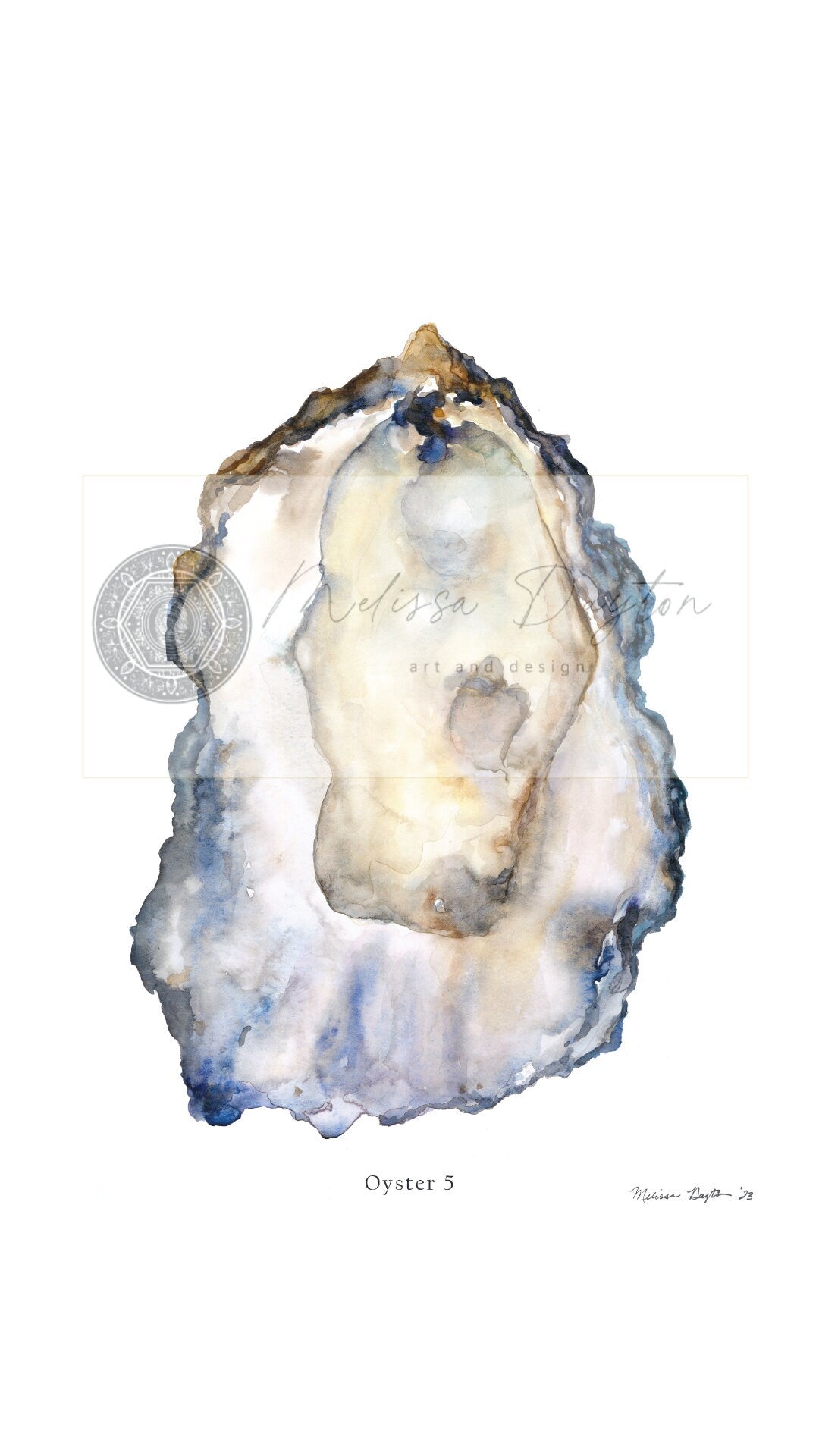 Oyster 5 – Subtle Lace & Blue Coastal Art Print (Unframed)